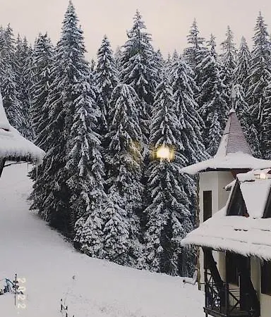 Apartament-damo Апартаменты