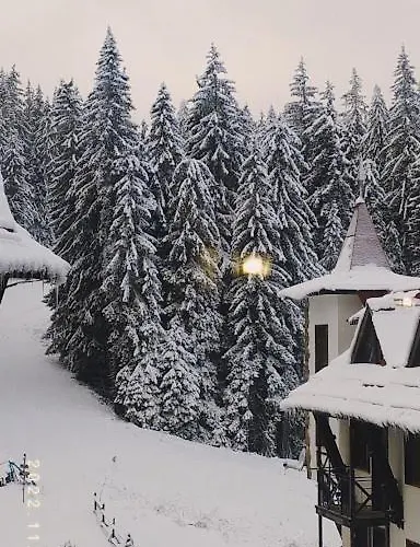 Apartament-damo Apartament